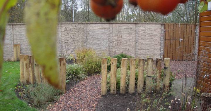 beplanting in tuin