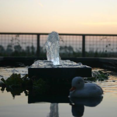 waterornament in strakke vijver, moderne tuin 