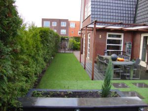 buntgras aanleggen