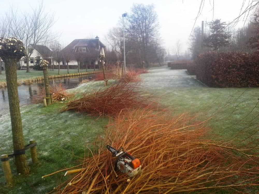 groot tuinonderhoud