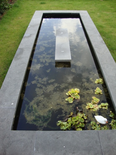 spiegelvijver met een strakke zwarte rand in een modern ingerichte tuin