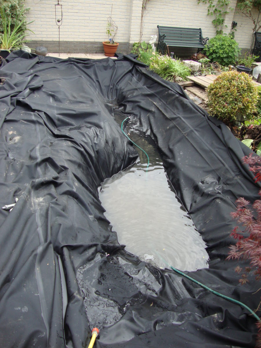 natuurlijke vijver in aanleg 